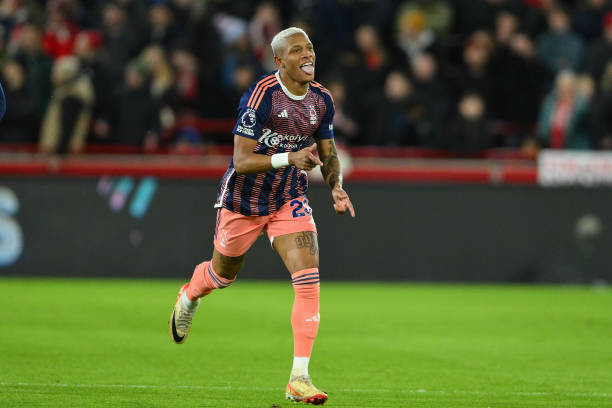 米兰和布鲁 米兰和布鲁